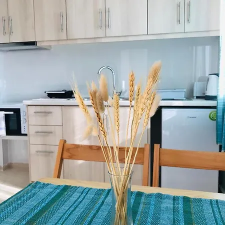 Banos And Swimming Pool Near The Roda (Corfu)